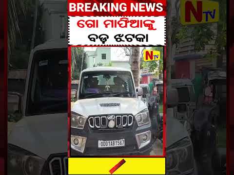 Top News | Top News