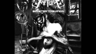 Rapture- Fetid Shell