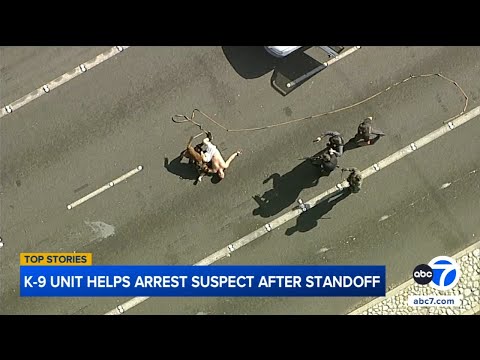 K-9 takes down suspect after chase leads to standoff on street in Westminster