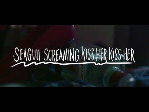 Seagull Screaming Kiss Her Kiss Her - Damn’ it I know what I am (MV)
