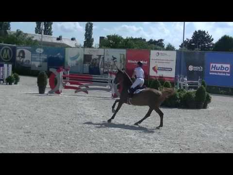 Enzo vd Herkkant, CSI3* Bonheiden 1m40