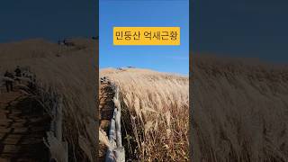 Download lagu 민둥산 억새근황 #민둥산억새 mp3