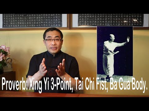 Decoding Martial Proverbs (14): Xing Yi 3-Point, Tai Chi Fist, Ba Gua Body