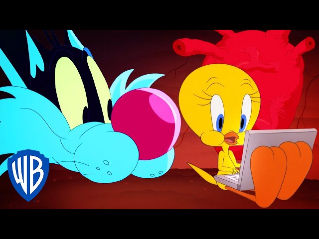 Vídeo relacionado con sarcia.eu Looney Tunes Tweety Piolín mochila CIUDAD con bolsillos, JUVENIL PARA VIAJES, PEQUEÑA (Tweety)