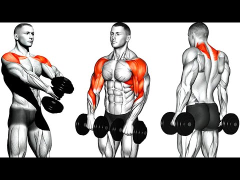 The Perfect 6 Exercises To Build Wide 3D Shoulders💪(Dumbbells Only)