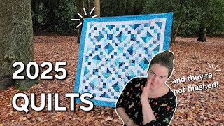 QUILTS OF 2025 | Trunk Show