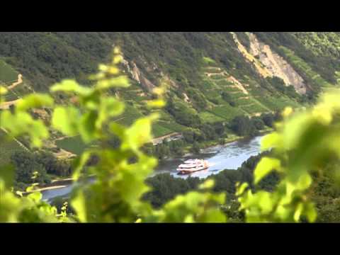 Fascination with Wine - The Moselle