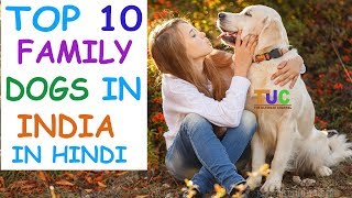 Top 10 Family Dogs in India In Hindi | Dog Facts | Popular Dogs | The Ultimate Channel
