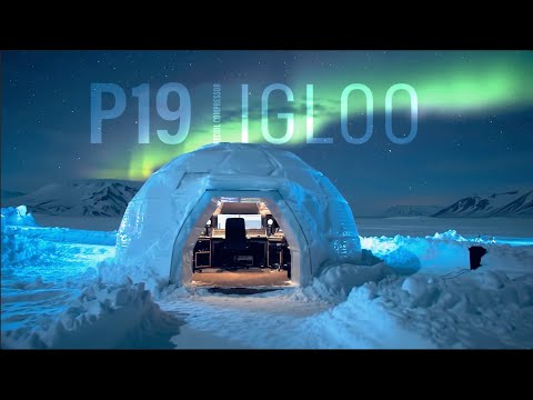 Free Download P19 Igloo v1.0.1 AU VST3 64Bit U2B macOS-MORiA