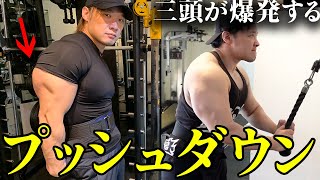 【腕トレ】三頭が爆発するプッシュダウンはこれです。