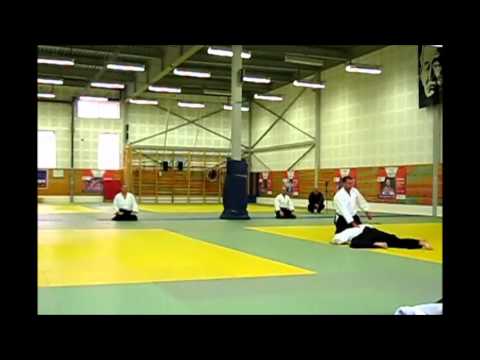 Aikido Aikikai, Aikido Exam 3rd Dan by Professional Aikido instructor