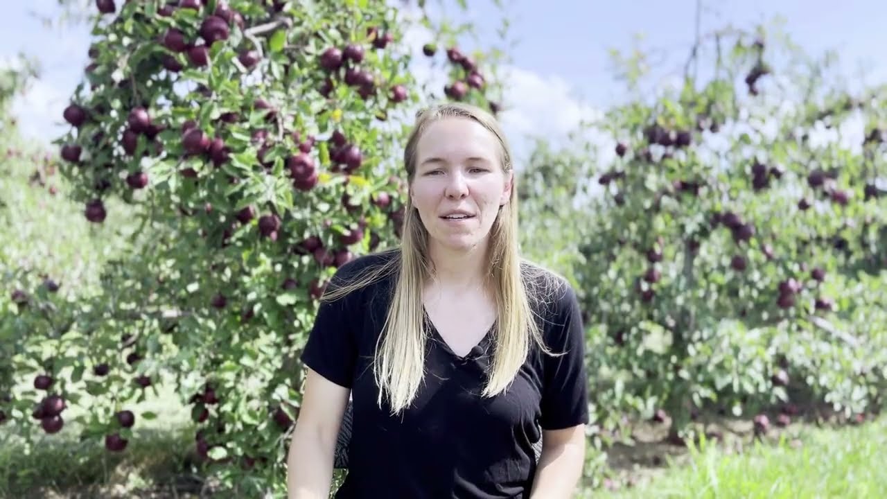 Self-Implementing EOS or Certified EOS Implementer® Eric Larsen