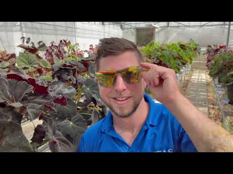 UF/IFAS Environmental Horticulture graduate, Julian Ginori, Winning NAPB Video