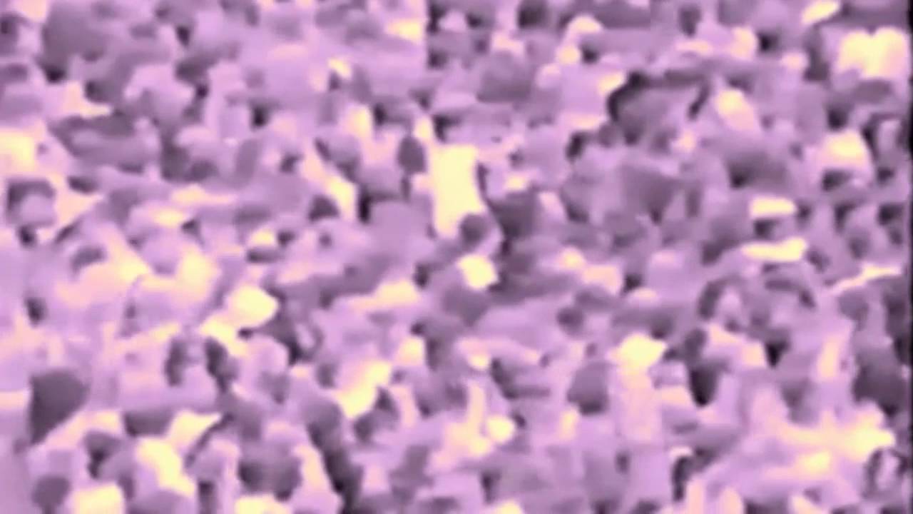 https://www.youtube.com/embed/-F6UU9d8Hkc