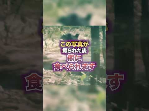 野生動物の事故: 現在リスクが増加しています!