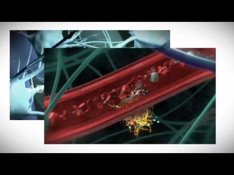 Haemostasis Revealed