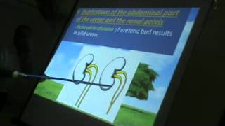 Dr Sherif Zaki Embryology (2) 17-4-2014