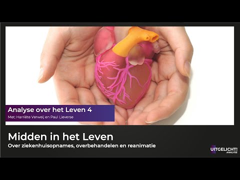 Uitgelicht! Analyse over het Leven 4 - Midden in het leven