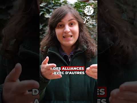 ????????️‍⚧️ JOURNÉE DE VISIBILITÉ TRANS : face à l'extrême droute, la simple visibilité ne suffit pas !