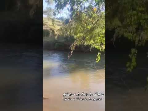 O Som da Natureza! RIO Claro no Município de Ivolândia-Goiás