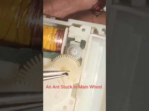 An Ant Can Stop Your Wall Clock ⏰😀 |दीवार घड़ी Repair #viral #repair @khbtech