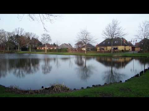 Silvester in Brokdorf