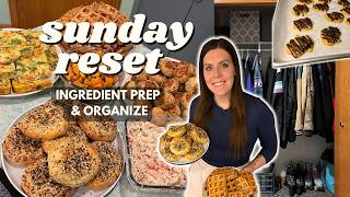 Sunday RESET | Ingredient/Meal Prep, Organize | Staying on Track | Egg Bake, Meatballs, Bagels