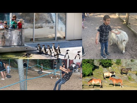 Slottsskogen Zoo, Gothenburg || Oldest Zoo in Sweden || Best playground for kids || Plikta Lekplats