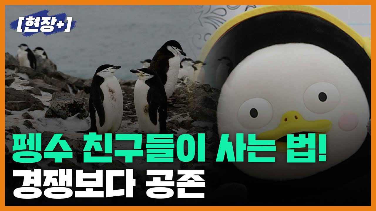 [현장+]펭수 친구들을 만나다!... 경쟁보다 공존