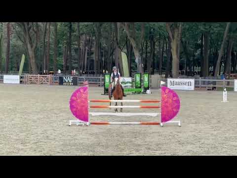 Showvideo 1