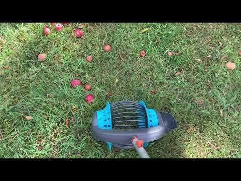 Äpfel sammeln (ohne Bücken) mit Fallobstsammler - Test Rollsammler von Gardena (August 2020)