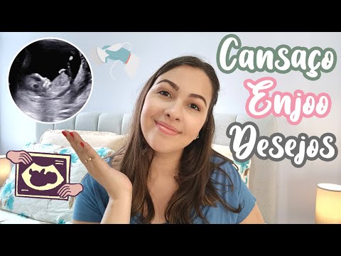 Meu primeiro trimestre de gravidez | DIÁRIO DE GRAVIDEZ