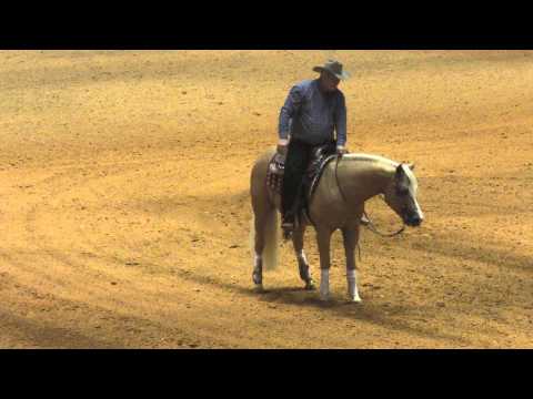 Tim McQuay Reining Run Fort Worth Cowtown Showdown 2015 - Part 2