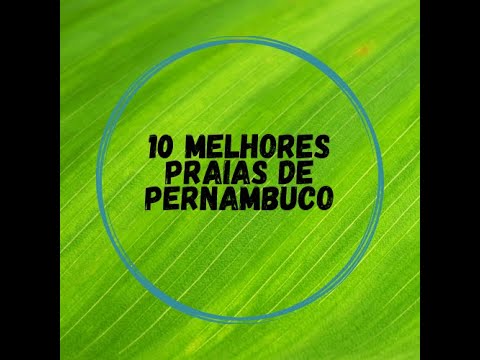 10 Melhores Praias de Pernambuco - Praias do Nordeste - Porto de Galinhas  Nordeste do Brasil - Mar