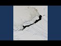 Polynya