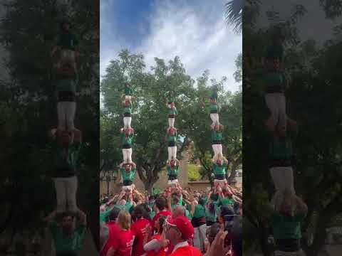 video-cover