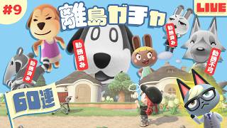 【あつ森 離島ガチャ 第9回】もうジャック来いよ!!!どこで油売ってんだよ🐱｜#animalcrossing