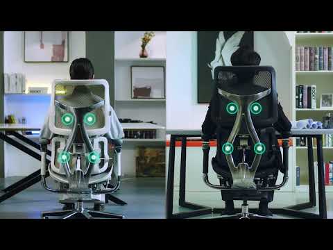 Ghế công thái học Sihoo cao cấp C300/S300