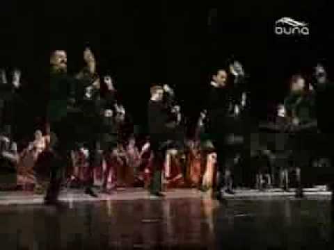 Hungarian National Dance Group