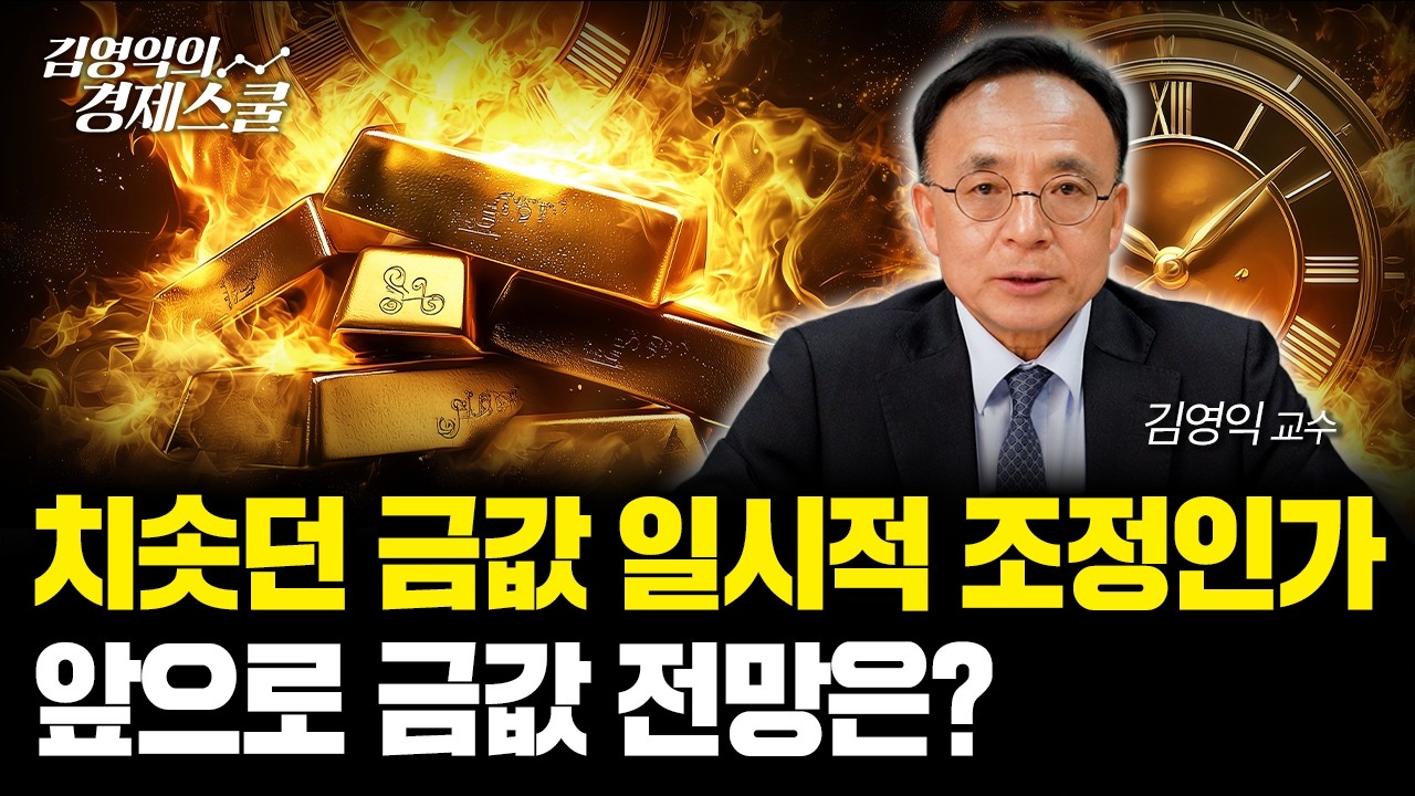 금값 조정은 기회다? 금 가격은 '이것'이 결정합니다ㅣ김영익 교수 공식 채널