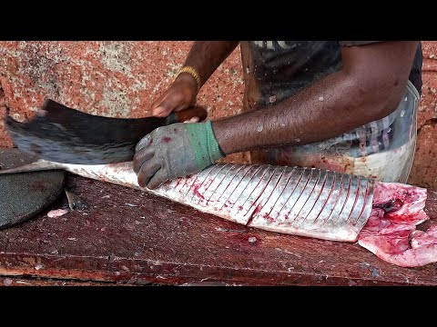 Amazing Seer Fish Cutting Skills Expert Cutting Seer Fish In Sri Lanka Fish Market