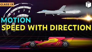 Speed with Direction | Chapter 8 | Class 9 | PuStack