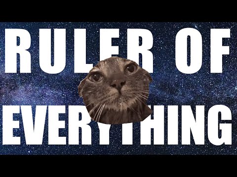 Tally Hall - Ruler of Everything | The Cat Edition