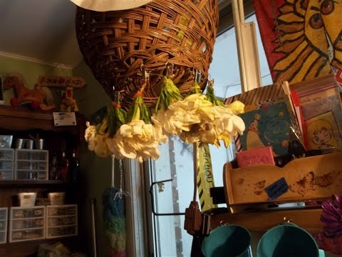 download lagu mp3 mp4 How To Preserve Gardenia Flowers, download lagu How To Preserve Gardenia Flowers gratis, unduh video klip How To Preserve Gardenia Flowers