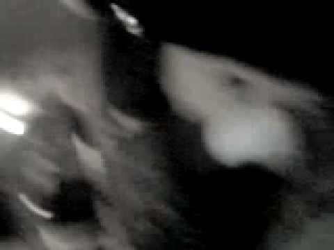 Jura The Barmen izgovara poznatu rechenicu