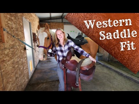 Western Saddle Fitting: The 5 Things to Check