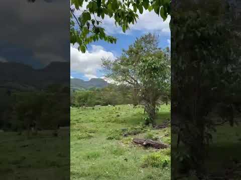Desde Aldea Juan de Paz Los Amates  Izabal Guatemala en oración