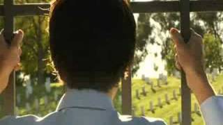 the morning benders - 'waiting for a war'