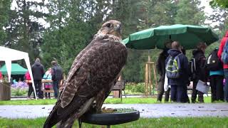 Oslavy lesa na Floře 2017
