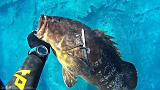 ΨΑΡΟΤΟΥΦΕΚΟ ΣΤΗΝ ΚΥΘΝΟ |Spearfishing Life 🇬🇷 ✅